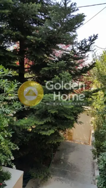 Μεζονέτα Εφαπτόμενη 310τ.μ. προς πώληση φωτογραφία 27