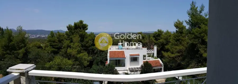 Μεζονέτα Εφαπτόμενη 310τ.μ. προς πώληση φωτογραφία 24