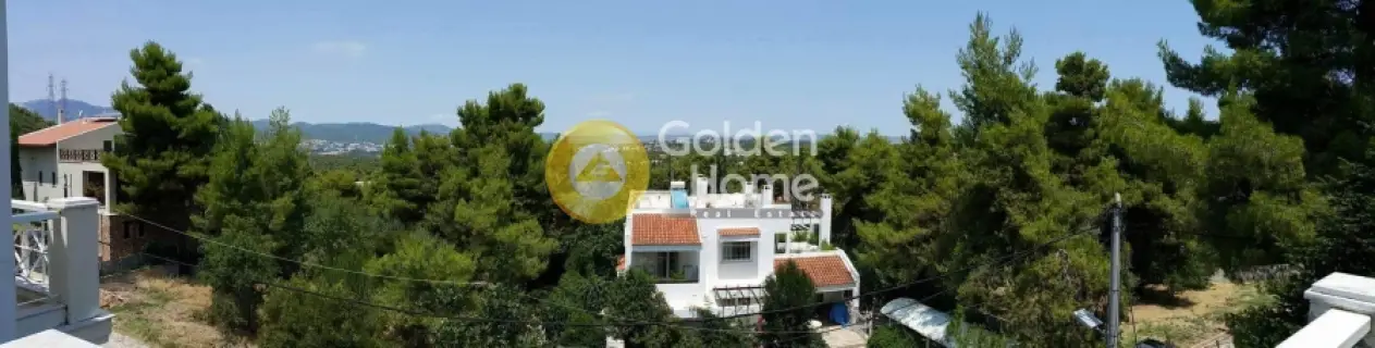 Μεζονέτα Εφαπτόμενη 310τ.μ. προς πώληση φωτογραφία 23