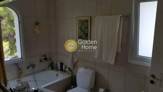 Μεζονέτα Εφαπτόμενη 310τ.μ. προς πώληση φωτογραφία 31