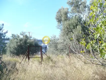 Οικιστικό 492τ.μ. προς πώληση φωτογραφία 2