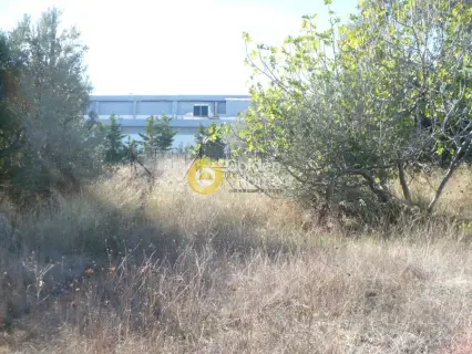 Οικιστικό 492τ.μ. προς πώληση φωτογραφία 3