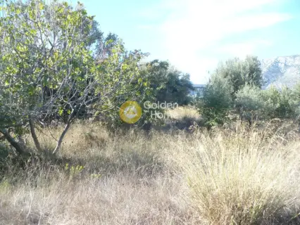 Οικιστικό 492τ.μ. προς πώληση φωτογραφία 4