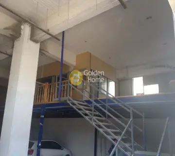Βιομηχανικός - Βιοτεχνικός Χώρος 4500τ.μ. προς πώληση φωτογραφία 6