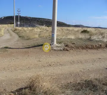 Parcel 7264m<sup>2</sup> for sale photo 1