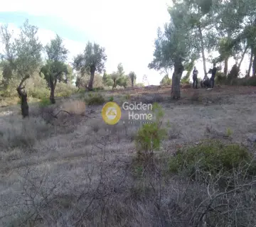 Parcel 1800m<sup>2</sup> for sale photo 1