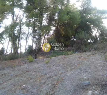 Parcel 1800m<sup>2</sup> for sale photo 8