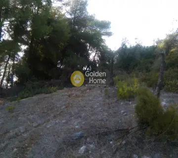 Parcel 1800m<sup>2</sup> for sale photo 9