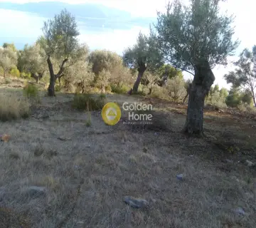 Parcel 1800m<sup>2</sup> for sale photo 10