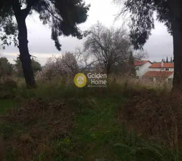 Αγροτεμάχιο 384τ.μ. προς πώληση φωτογραφία 7