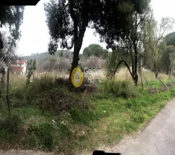 Αγροτεμάχιο 384τ.μ. προς πώληση φωτογραφία 4