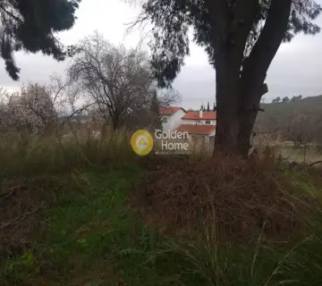 Αγροτεμάχιο 384τ.μ. προς πώληση φωτογραφία 2475344