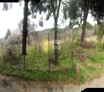 Αγροτεμάχιο 384τ.μ. προς πώληση φωτογραφία 5