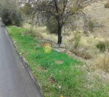 Parcel 5500m<sup>2</sup> for sale photo 2