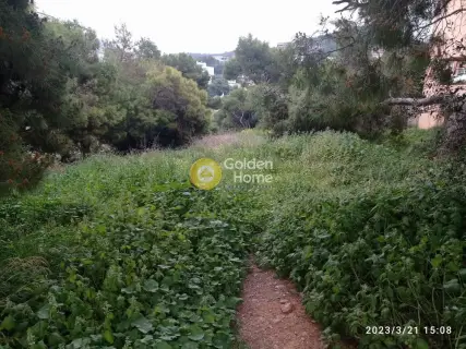 Οικιστικό 750τ.μ. προς πώληση φωτογραφία 4