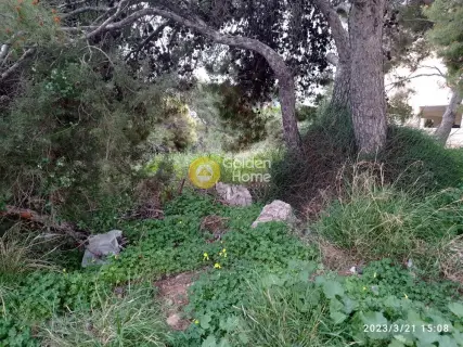 Οικιστικό 750τ.μ. προς πώληση φωτογραφία 2