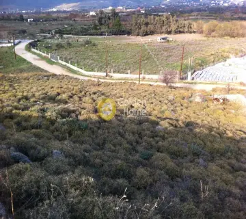 Parcel 20000m<sup>2</sup> for sale photo 3