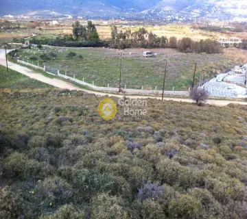 Parcel 20000m<sup>2</sup> for sale photo 4