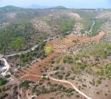 Parcel 20000m<sup>2</sup> for sale photo 3