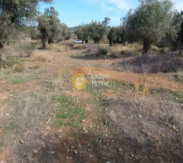 Parcel 501m<sup>2</sup> for sale photo 5