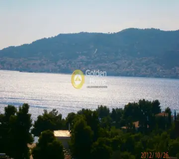 Μονοκατοικία 964τ.μ. προς πώληση φωτογραφία 5