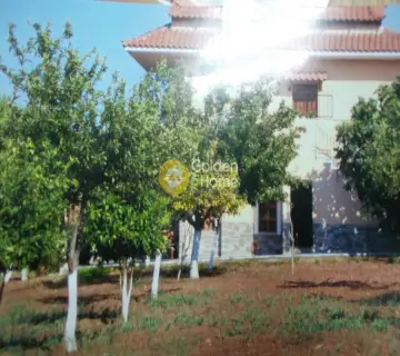 Independent Maisonette 220m<sup>2</sup> for sale photo 12