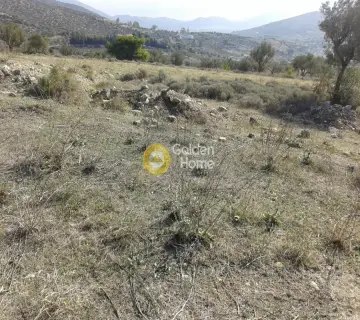 Residential 18000m<sup>2</sup> for sale photo 2