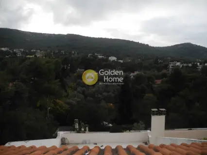 Μεζονέτα Εφαπτόμενη 500τ.μ. προς πώληση φωτογραφία 14