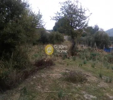 Parcel 5500m<sup>2</sup> for sale photo 7