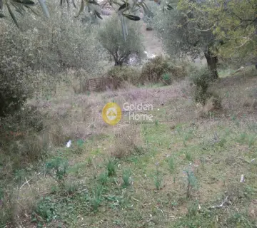 Parcel 5500m<sup>2</sup> for sale photo 10
