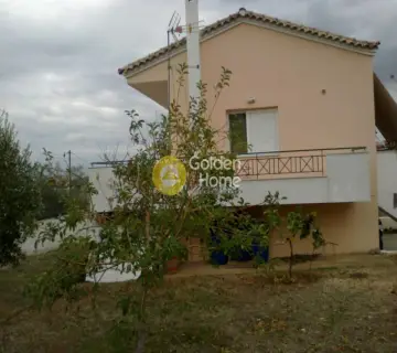 Golden Home Property Image