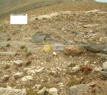 Professional Plot 458000m<sup>2</sup> for sale photo 25