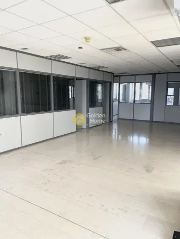Office 230m<sup>2</sup> for rent photo 6