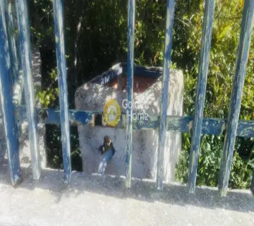 Golden Home Property Image