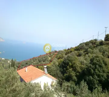 Οικιστικό 8000τ.μ. προς πώληση φωτογραφία 1