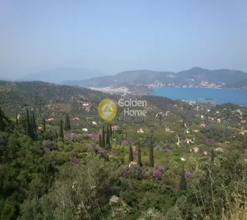 Οικιστικό 8000τ.μ. προς πώληση φωτογραφία 2