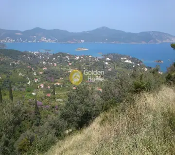 Οικιστικό 8000τ.μ. προς πώληση φωτογραφία 3