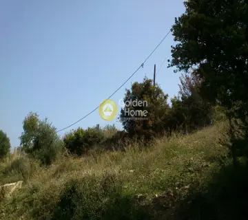 Οικιστικό 8000τ.μ. προς πώληση φωτογραφία 4