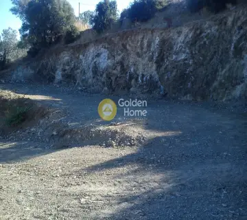 Οικιστικό 8000τ.μ. προς πώληση φωτογραφία 5