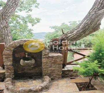 旅馆 250m<sup>2</sup> for sale photo 10
