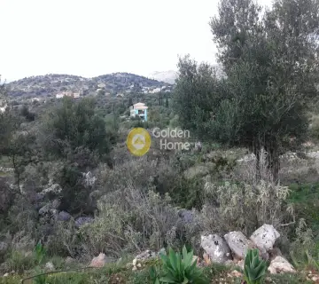Residential 8000m<sup>2</sup> for sale photo 6