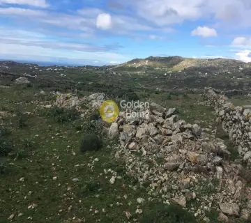 Residential 4459m<sup>2</sup> for sale photo 1