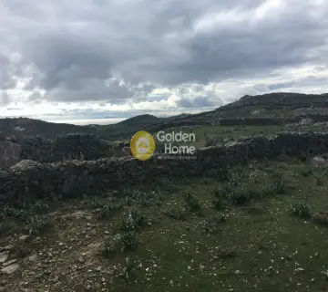Residential 4459m<sup>2</sup> for sale photo 3