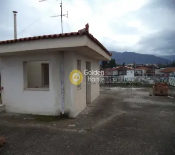 Μονοκατοικία 360τ.μ. προς πώληση φωτογραφία 10