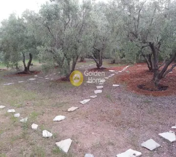 Μονοκατοικία 200τ.μ. προς πώληση φωτογραφία 7