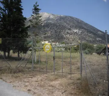 Area 4350m<sup>2</sup> for sale photo 1