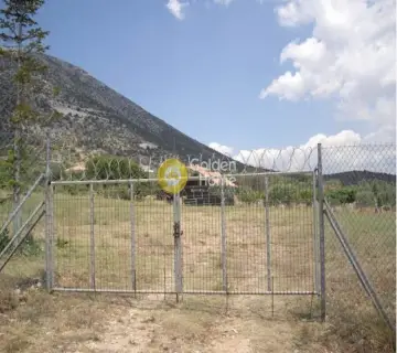 Area 4350m<sup>2</sup> for sale photo 3