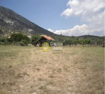 Area 4350m<sup>2</sup> for sale photo 4