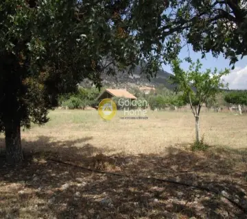 Area 4350m<sup>2</sup> for sale photo 6