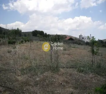 Area 4350m<sup>2</sup> for sale photo 7